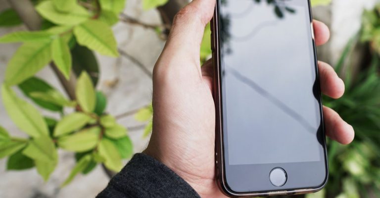 A hand holding a smartphone against a background of green leaves, capturing a modern lifestyle moment.