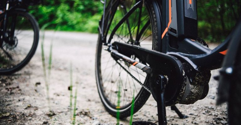 Detailed view of a mountain bike on a gravel path through lush forest foliage.