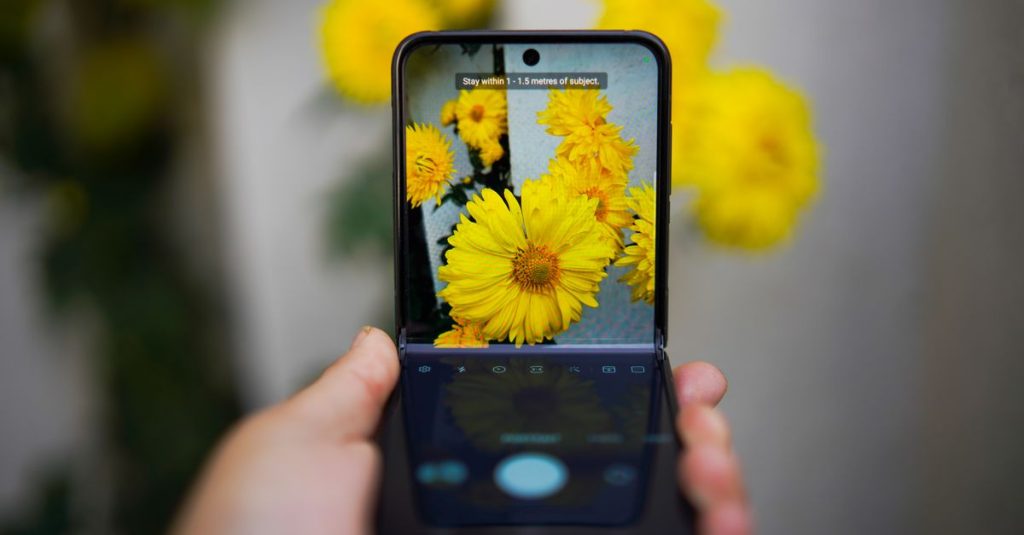 A smartphone capturing vivid yellow flowers, showcasing technology and nature interaction.